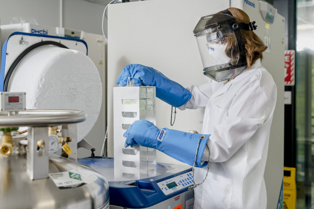 Worker in Medical Manufacturing Lab